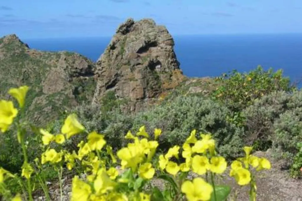 Holiday home House Rural,Biosphere Reserve World.Taganana.Tfe. Santa Cruz de Tenerife